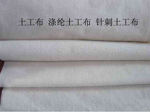 涤沦榴莲视频官网APP